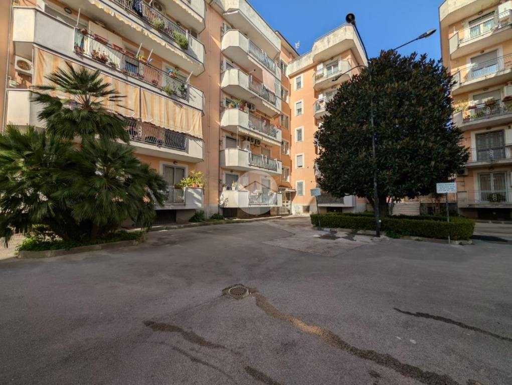 immagine annuncio 4 di 8