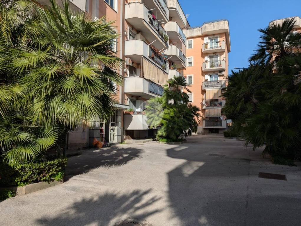 immagine annuncio 5 di 8