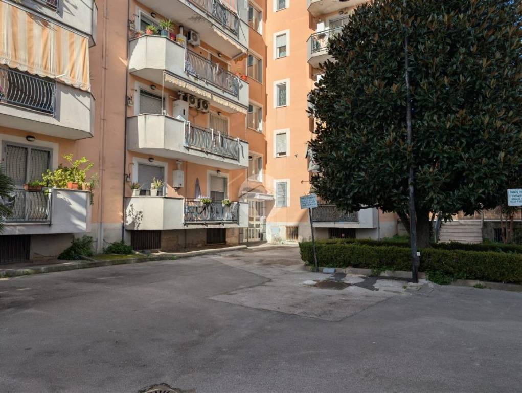 immagine annuncio 6 di 8