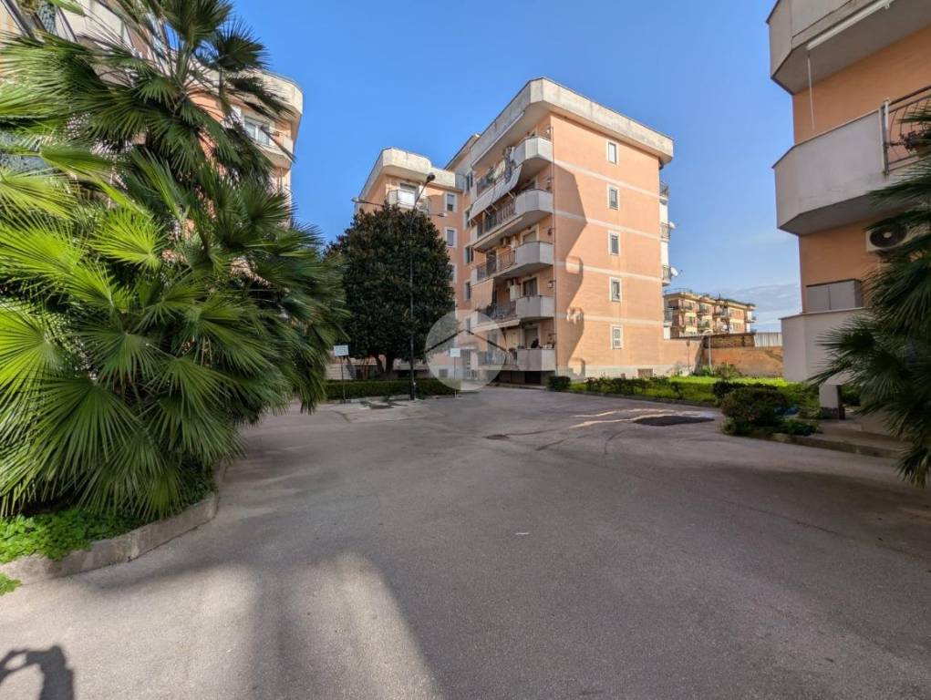 immagine annuncio 7 di 8