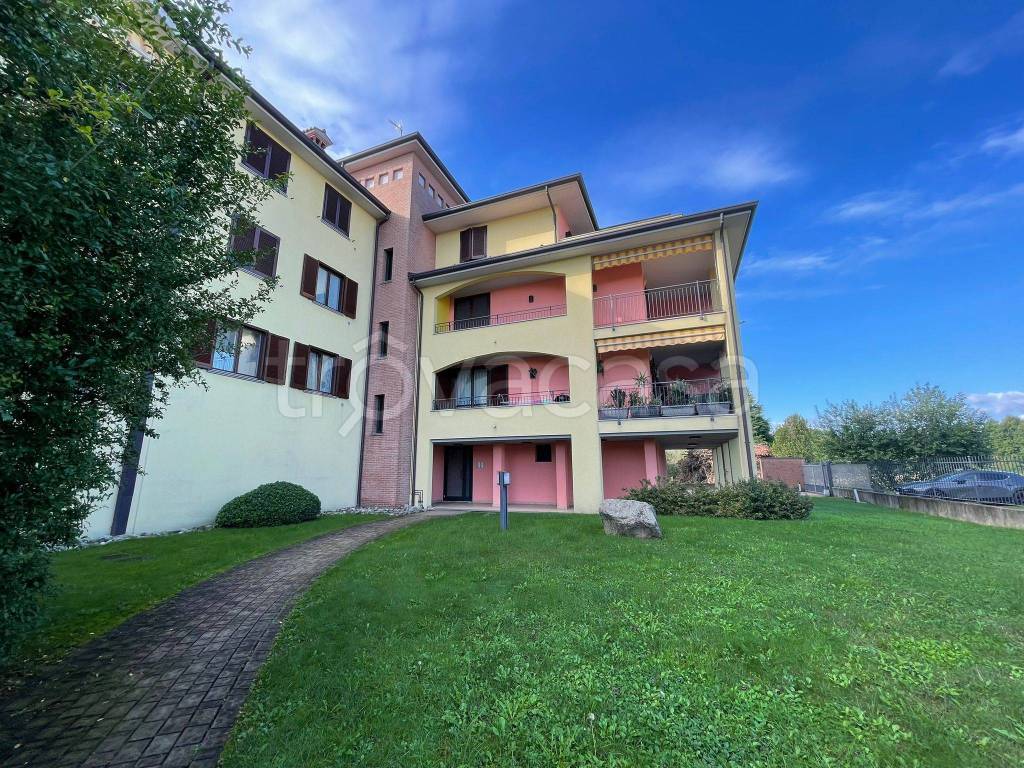 immagine annuncio 2 di 15