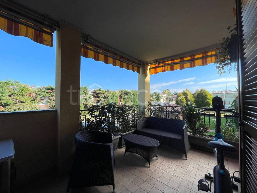 immagine annuncio 11 di 15