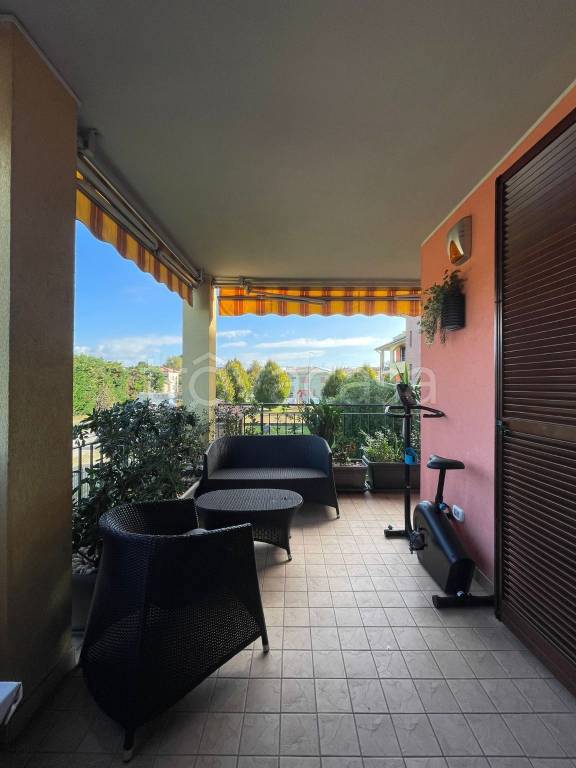 immagine annuncio 12 di 15