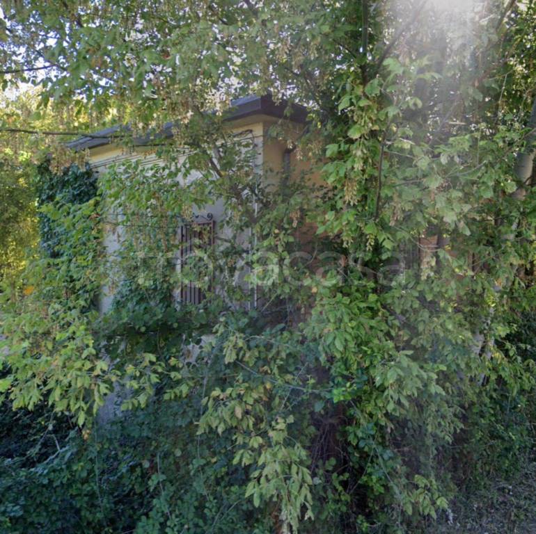 immagine annuncio 3 di 11