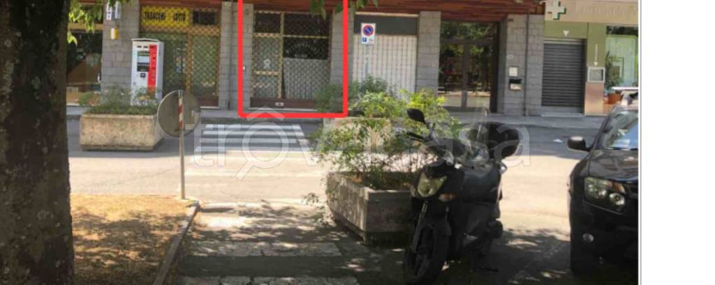 immagine annuncio 3 di 12