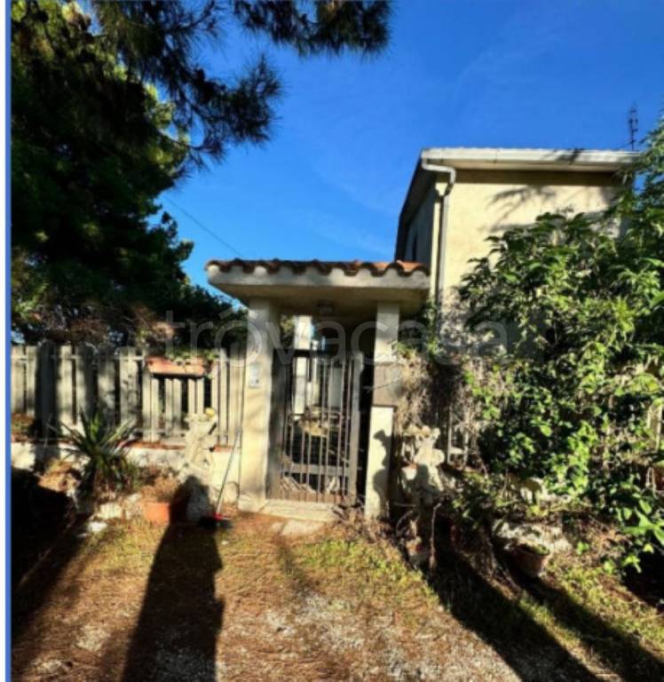 immagine annuncio 3 di 13