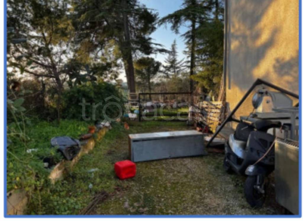 immagine annuncio 7 di 13