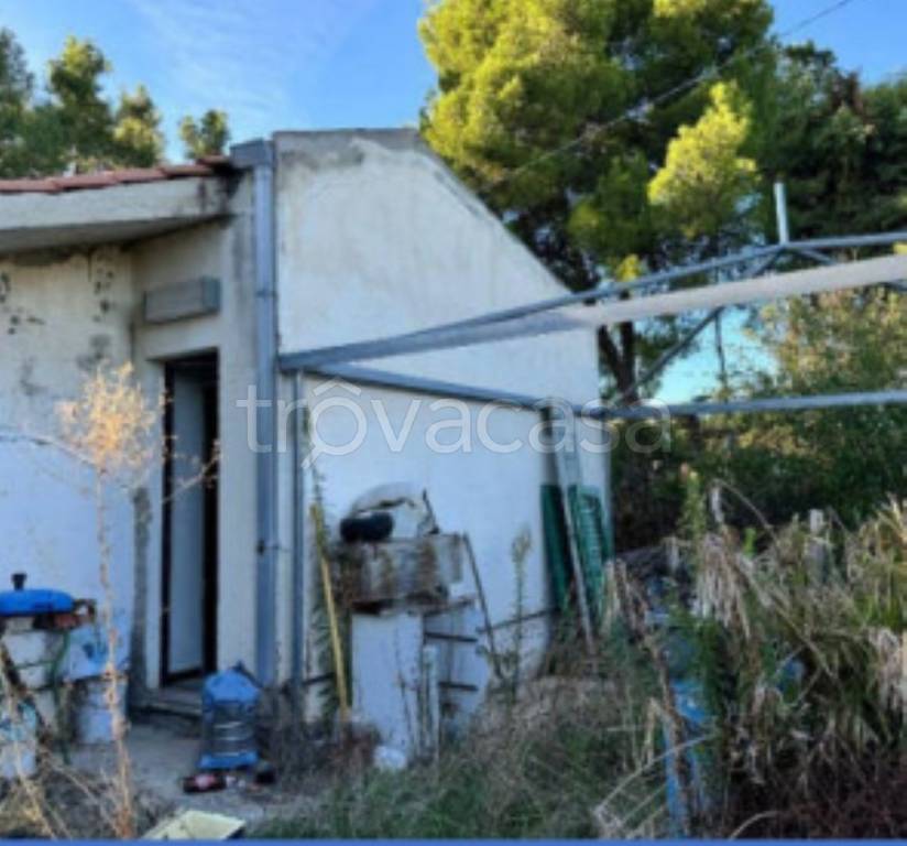 immagine annuncio 10 di 13