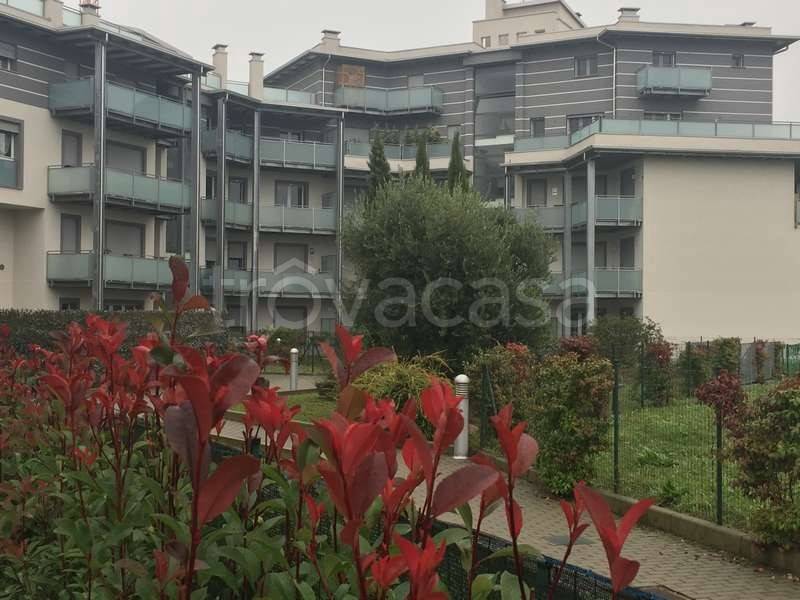 immagine annuncio 6 di 12