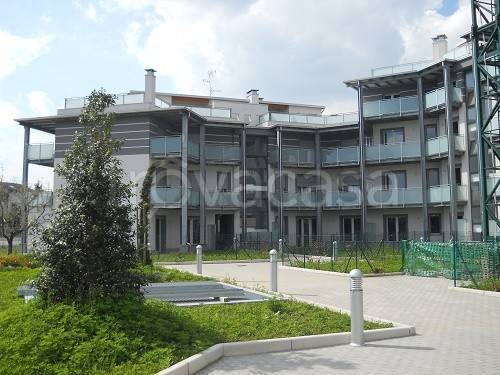 immagine annuncio 5 di 13