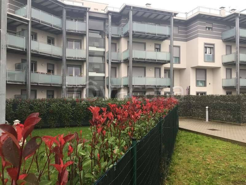 immagine annuncio 7 di 13