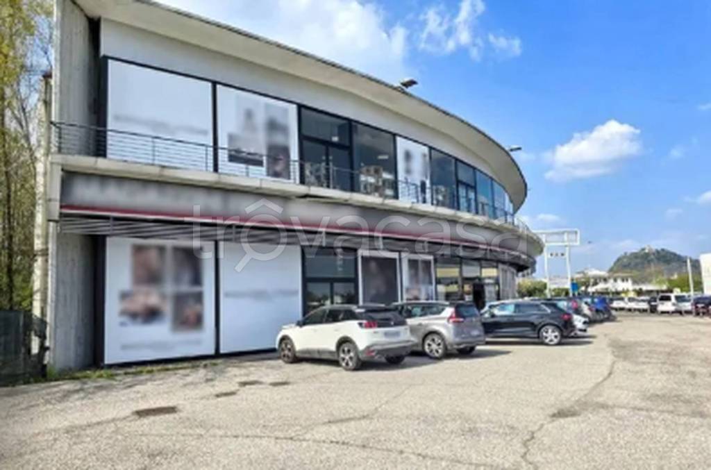 immagine annuncio 9 di 11