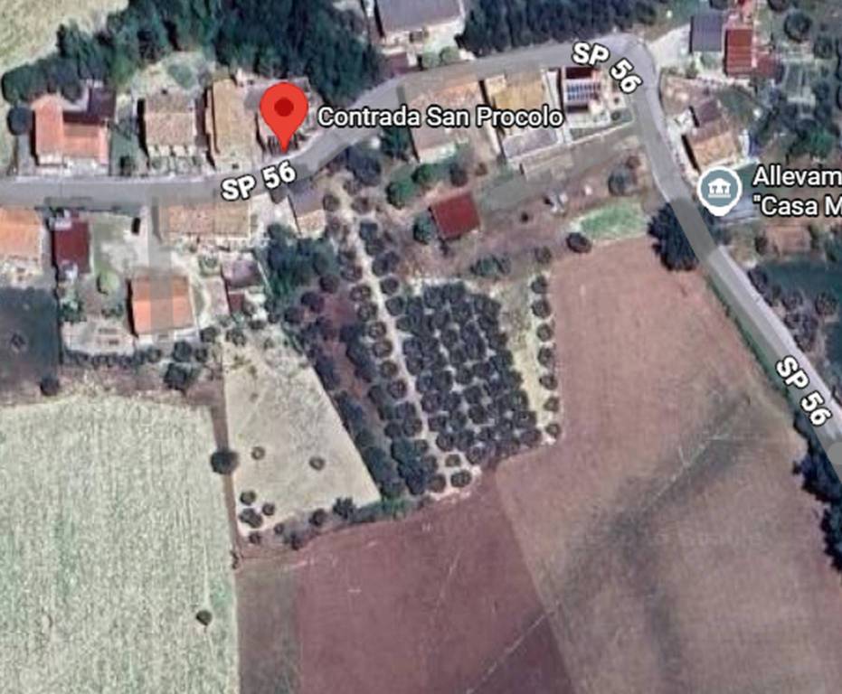 immagine annuncio 2 di 13