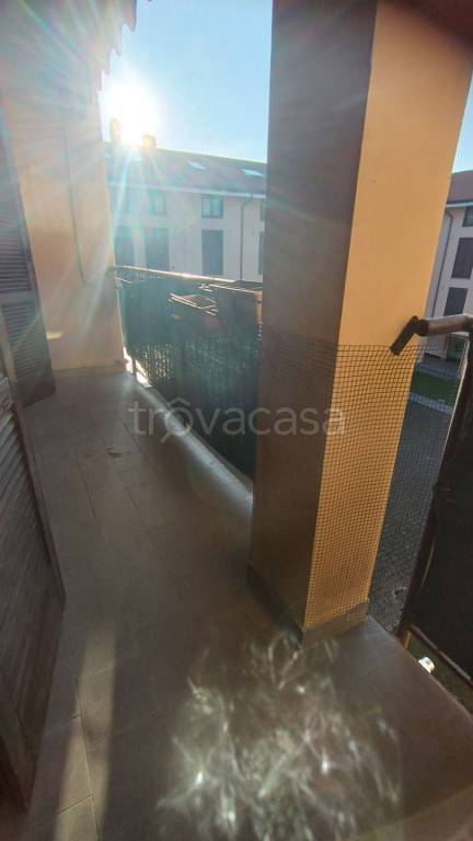 immagine annuncio 3 di 13