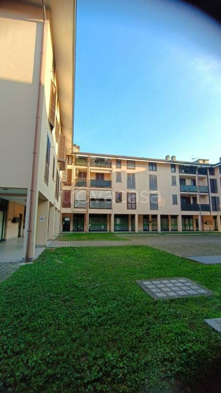 immagine annuncio 10 di 13