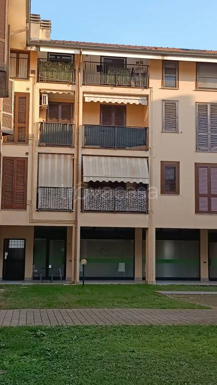 immagine annuncio 12 di 13