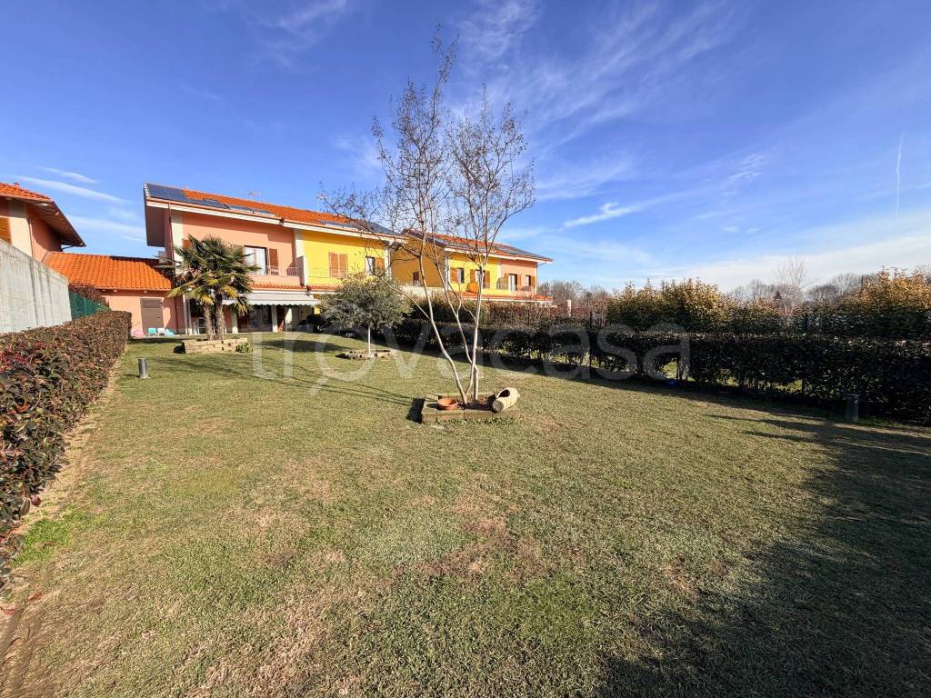 immagine annuncio 12 di 15