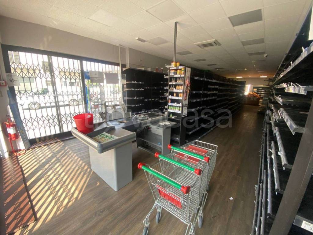 immagine annuncio 3 di 12