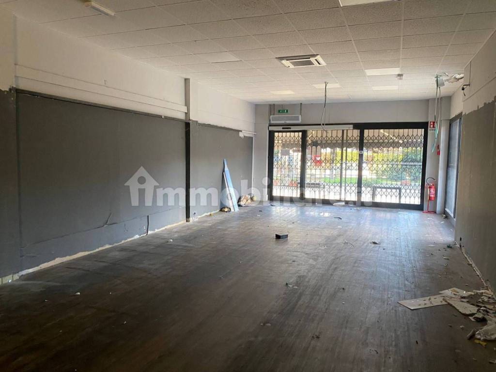 immagine annuncio 5 di 12