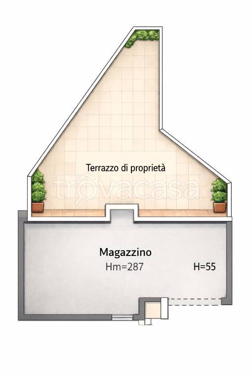 immagine annuncio 12 di 13