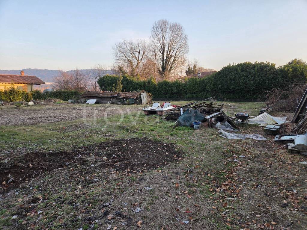 immagine annuncio 11 di 14