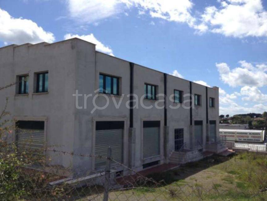 immagine annuncio 5 di 14