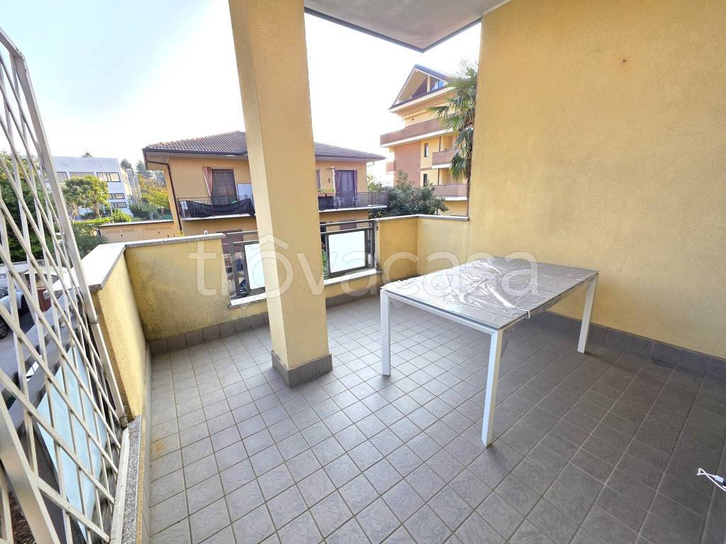 immagine annuncio 10 di 15