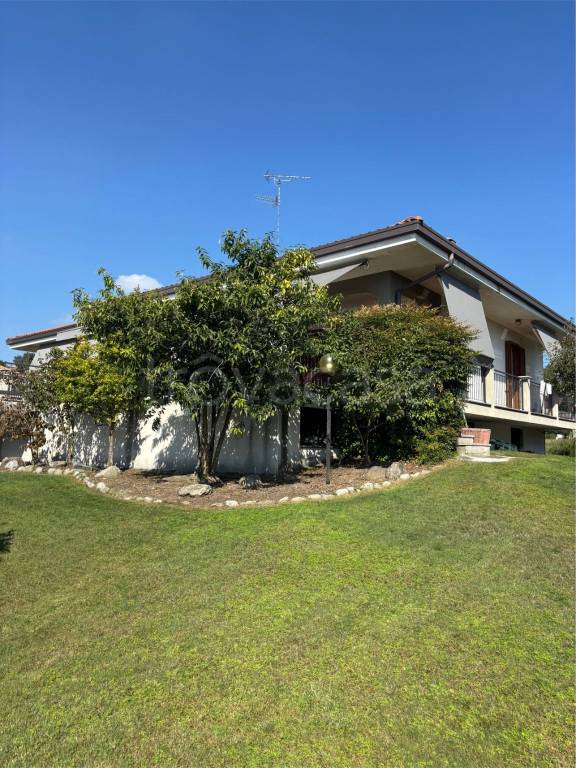 immagine annuncio 11 di 12