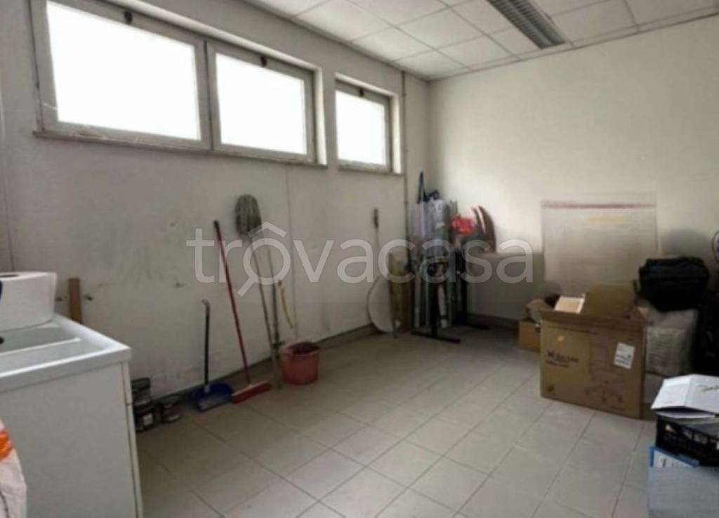 immagine annuncio 7 di 11