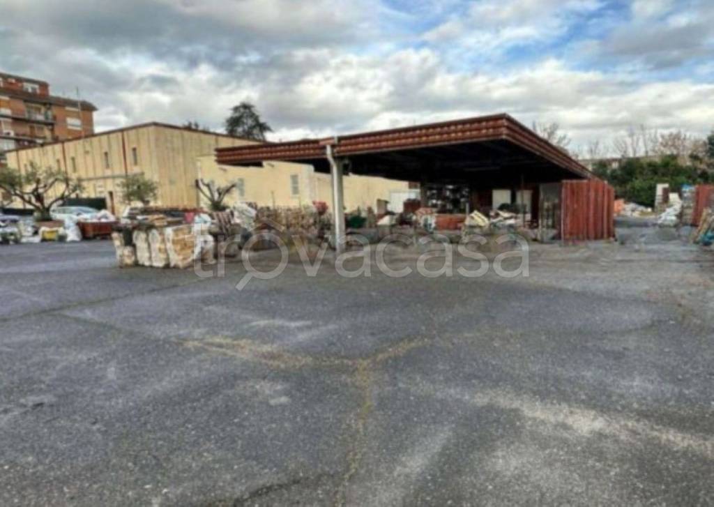 immagine annuncio 9 di 11