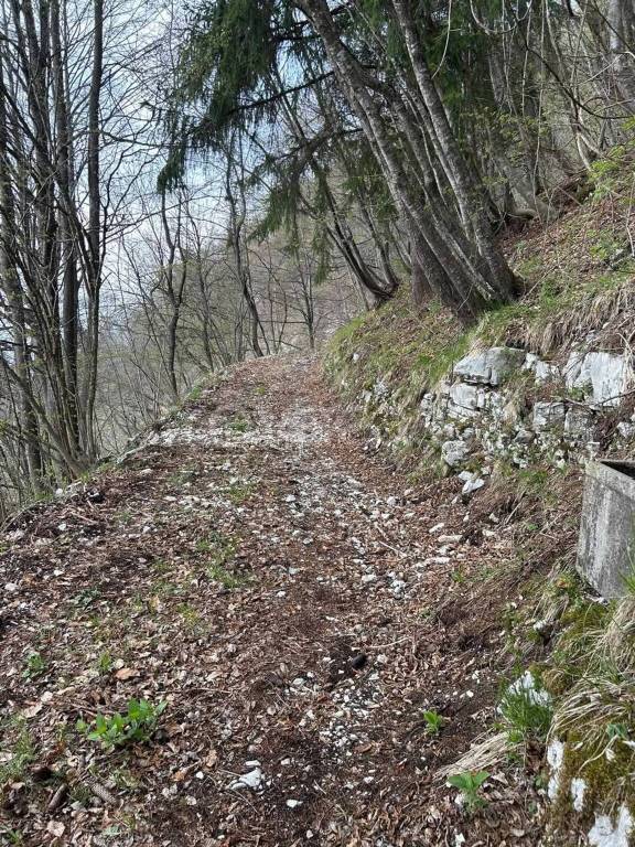 immagine annuncio 4 di 9