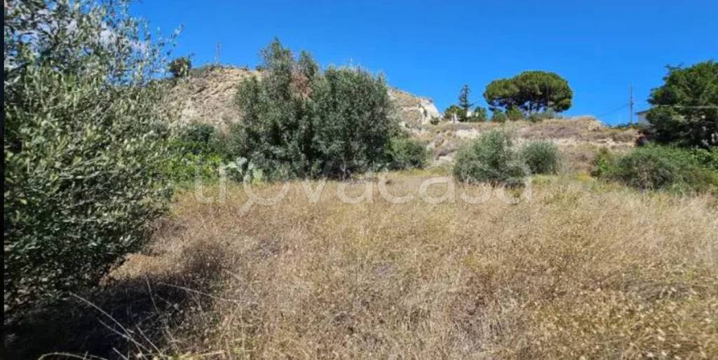 immagine annuncio 9 di 12