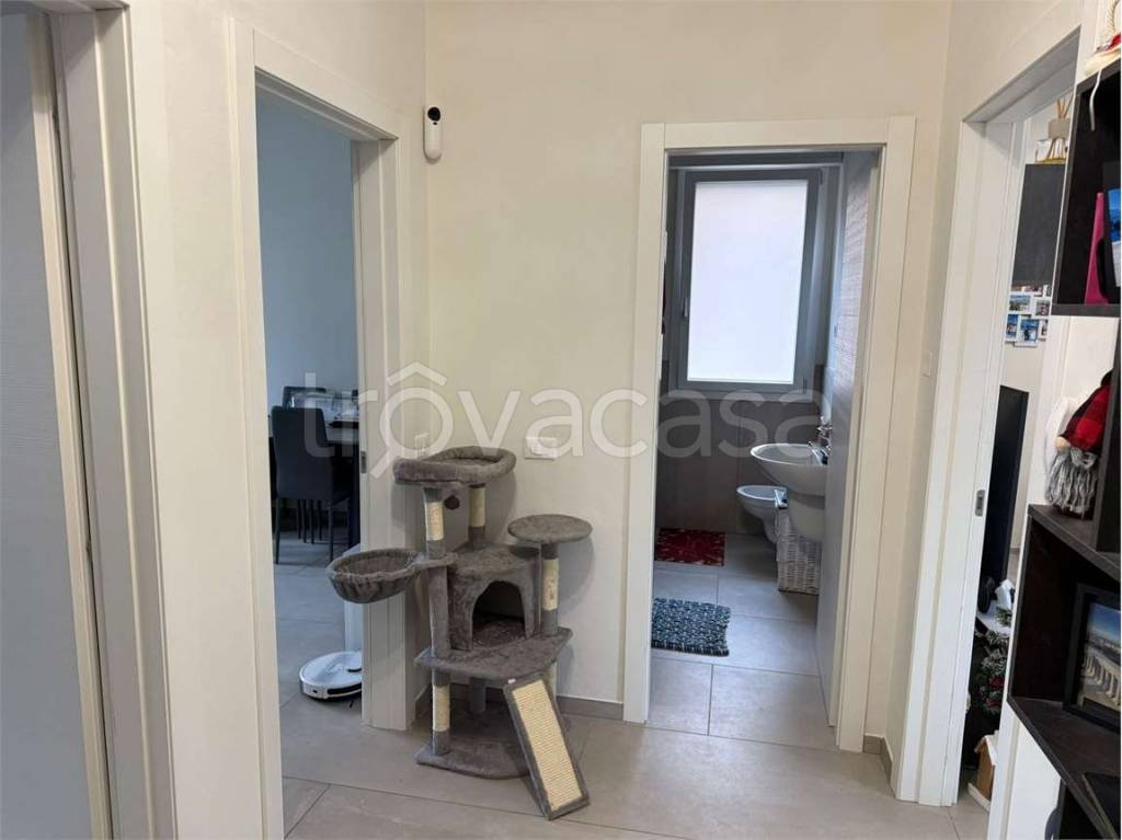 immagine annuncio 2 di 13