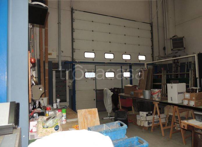 immagine annuncio 12 di 15