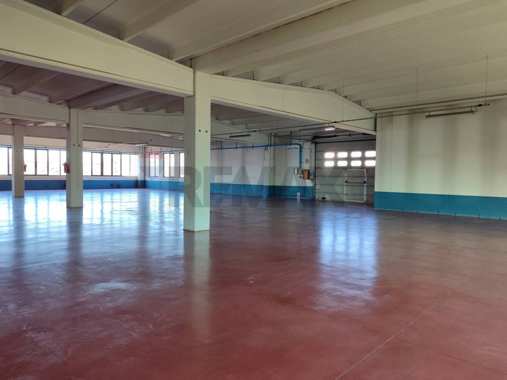 immagine annuncio 3 di 7