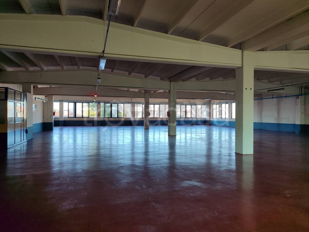 immagine annuncio 4 di 7