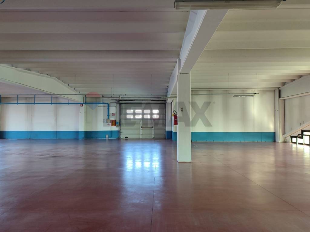 immagine annuncio 6 di 7