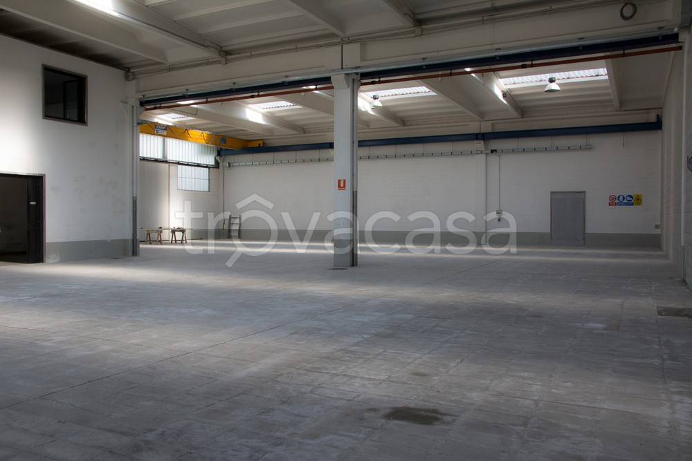 immagine annuncio 2 di 12