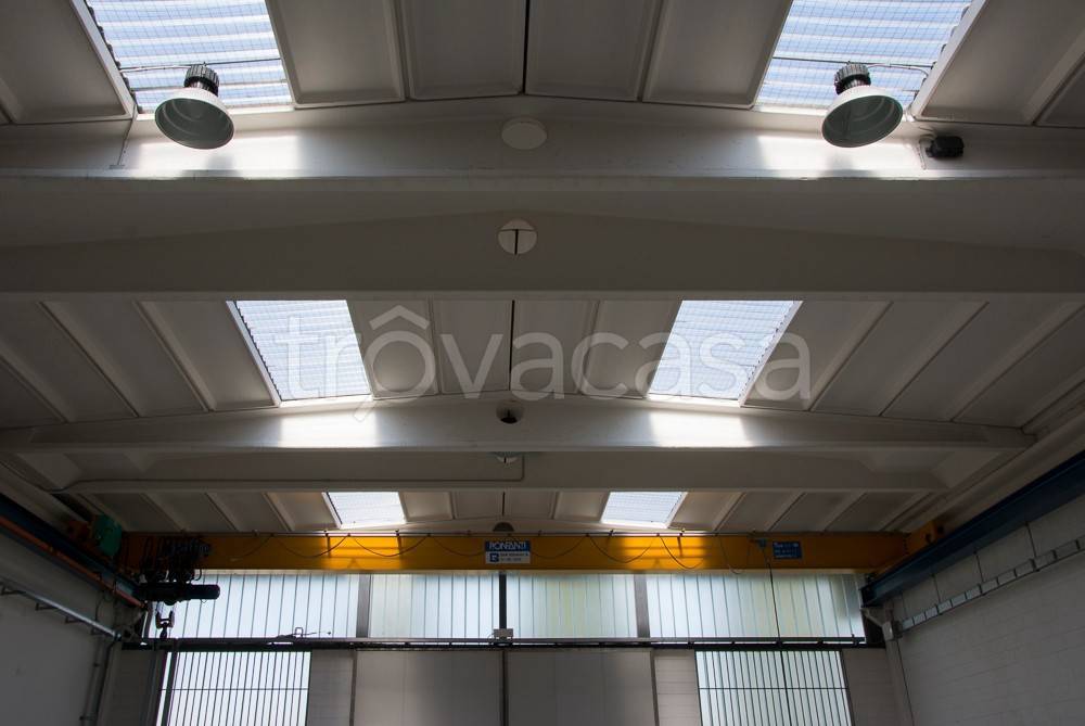 immagine annuncio 4 di 12