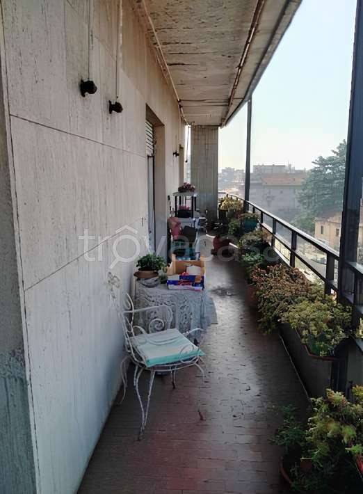 immagine annuncio 6 di 13