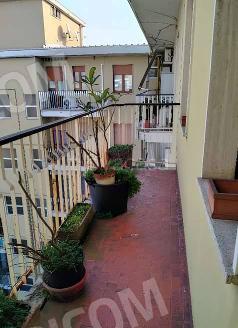 immagine annuncio 12 di 14