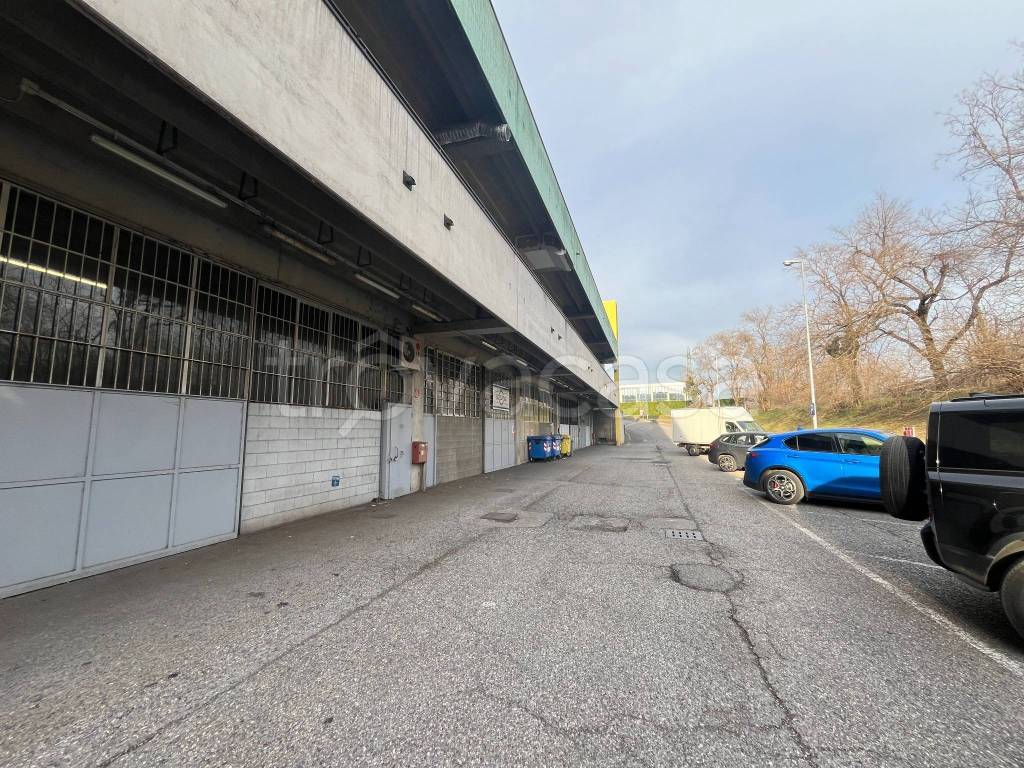 immagine annuncio 3 di 10