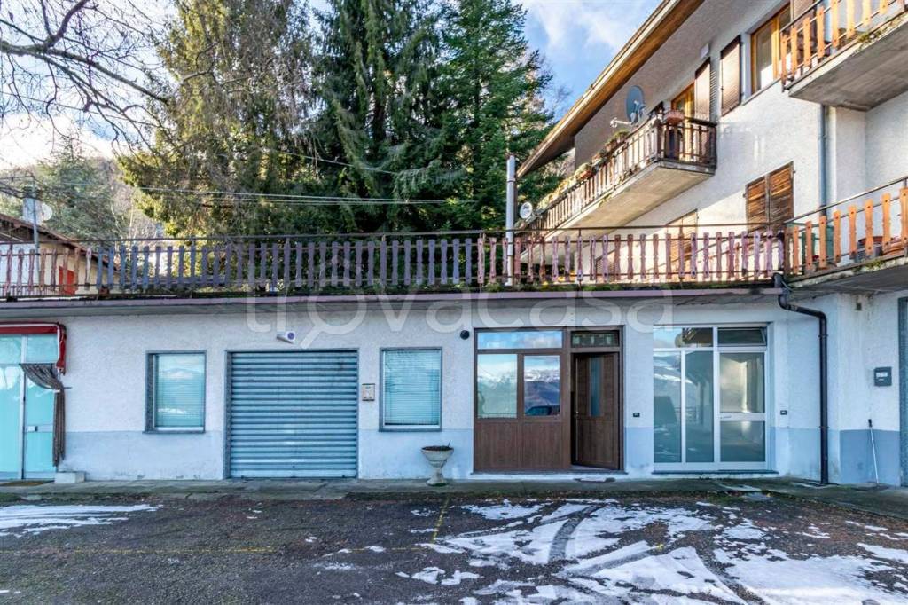 immagine annuncio 1 di 14