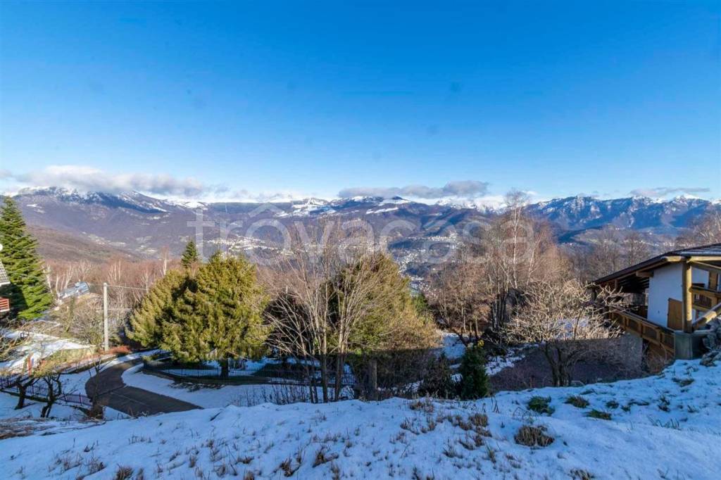 immagine annuncio 12 di 14