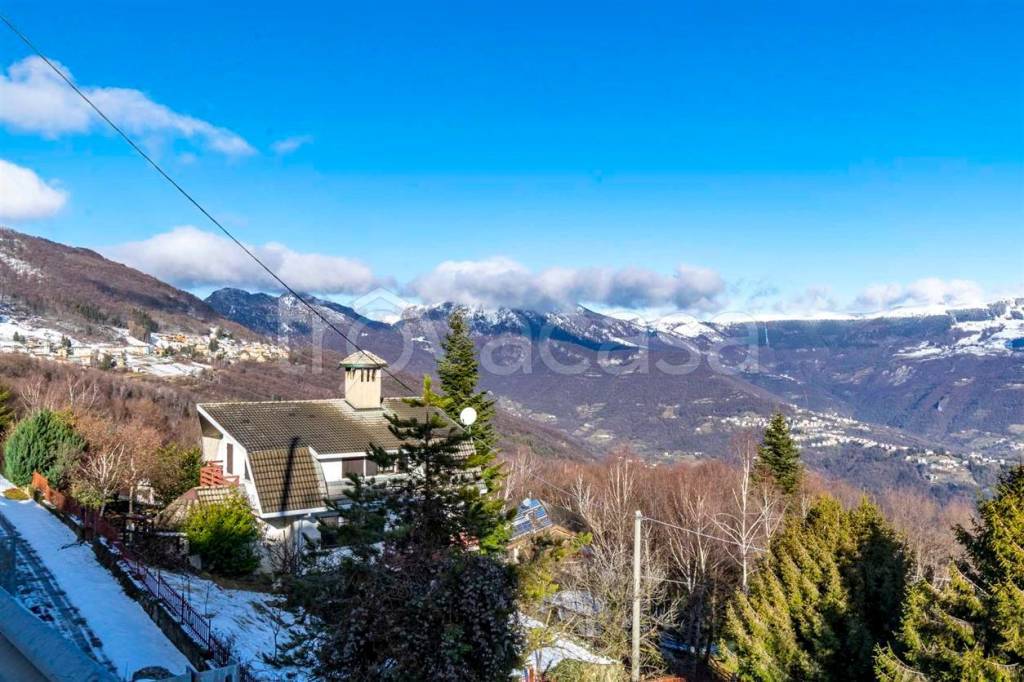 immagine annuncio 13 di 14