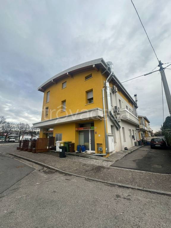 immagine annuncio 3 di 6