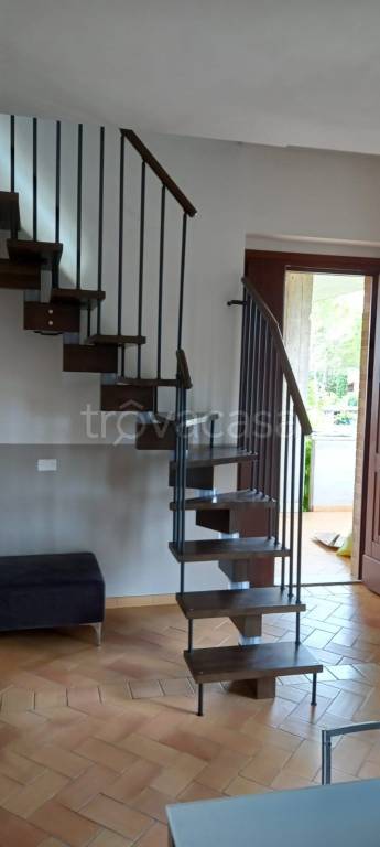 immagine annuncio 4 di 7