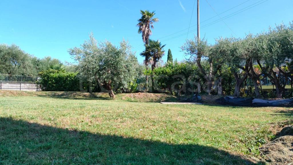 immagine annuncio 1 di 14