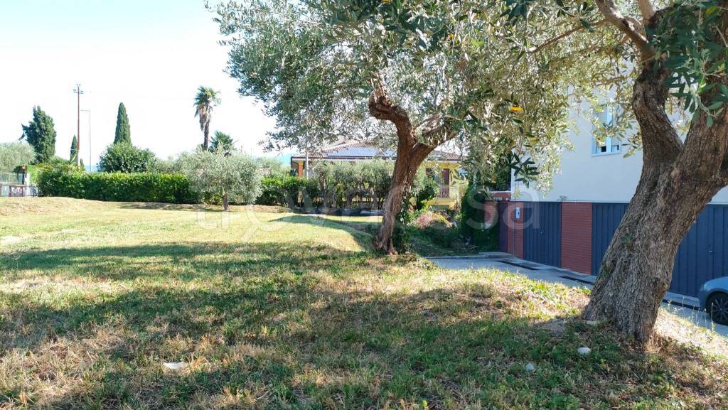 immagine annuncio 5 di 14