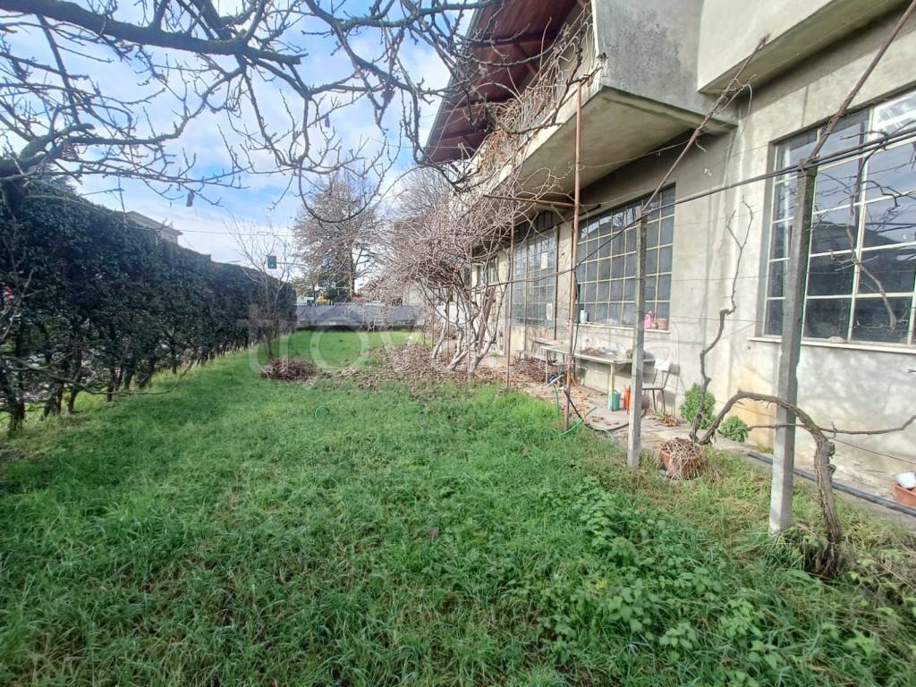 immagine annuncio 1 di 8